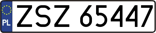 ZSZ65447