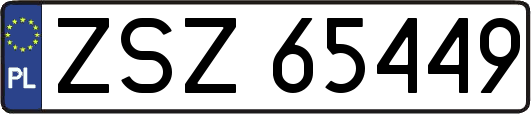 ZSZ65449