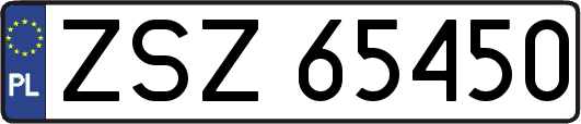 ZSZ65450