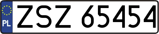 ZSZ65454