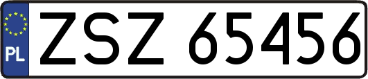 ZSZ65456