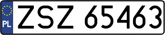 ZSZ65463