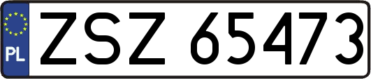 ZSZ65473