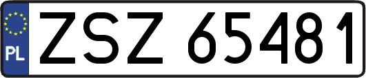 ZSZ65481