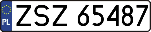 ZSZ65487