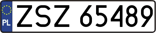 ZSZ65489