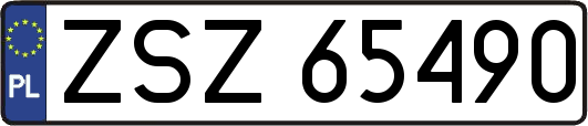 ZSZ65490