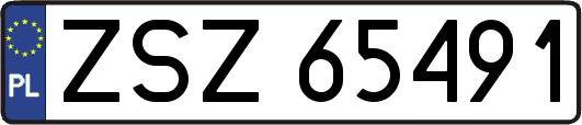 ZSZ65491
