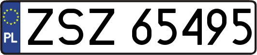 ZSZ65495