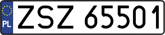ZSZ65501