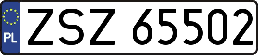 ZSZ65502