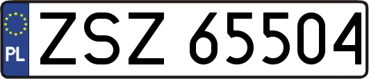 ZSZ65504