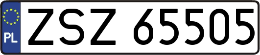 ZSZ65505