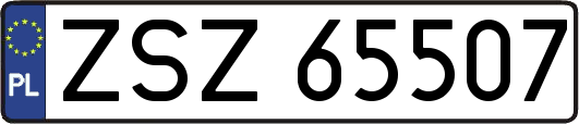 ZSZ65507