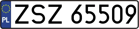 ZSZ65509