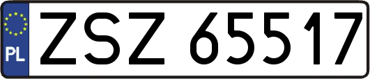 ZSZ65517