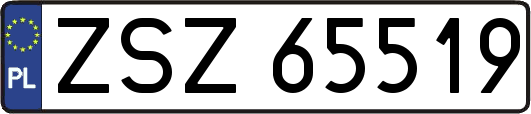 ZSZ65519