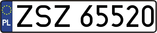 ZSZ65520