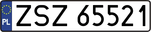 ZSZ65521