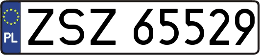 ZSZ65529