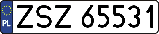 ZSZ65531