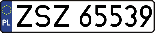 ZSZ65539