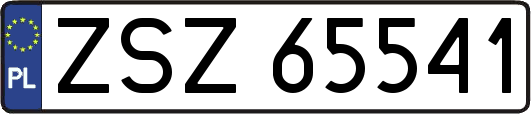 ZSZ65541