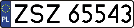 ZSZ65543