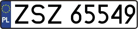 ZSZ65549
