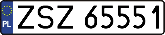 ZSZ65551