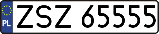 ZSZ65555