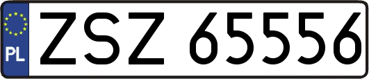 ZSZ65556