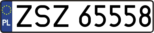 ZSZ65558