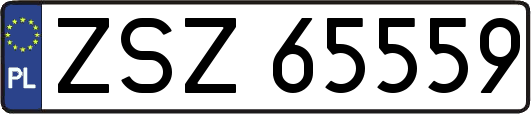 ZSZ65559
