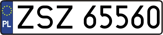 ZSZ65560