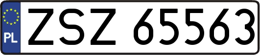 ZSZ65563