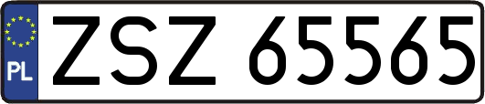 ZSZ65565