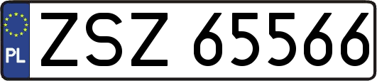 ZSZ65566