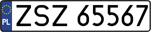 ZSZ65567