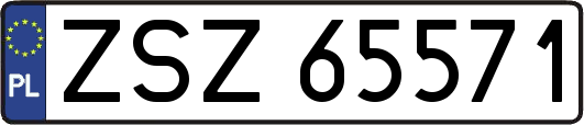 ZSZ65571