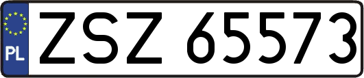 ZSZ65573