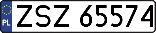 ZSZ65574