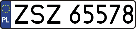 ZSZ65578
