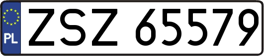 ZSZ65579