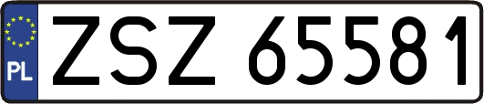 ZSZ65581