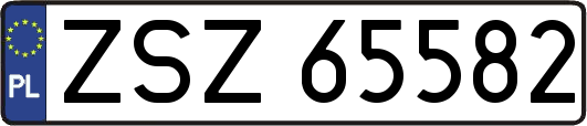 ZSZ65582
