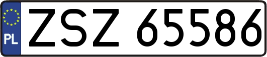 ZSZ65586