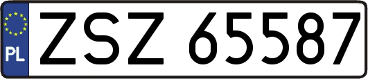 ZSZ65587