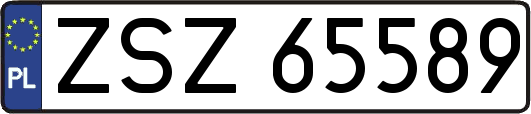 ZSZ65589