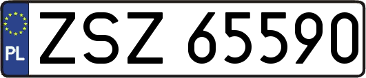 ZSZ65590